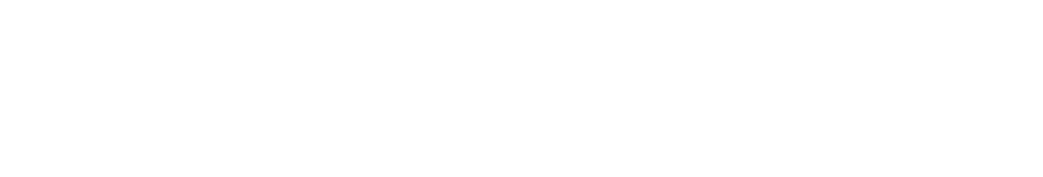 Rheinspace Logo White