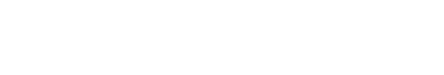 Rheinspace Logo White