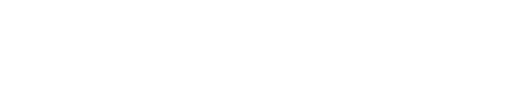 Rheinspace Logo White