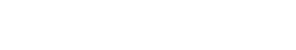 Rheinspace Logo White