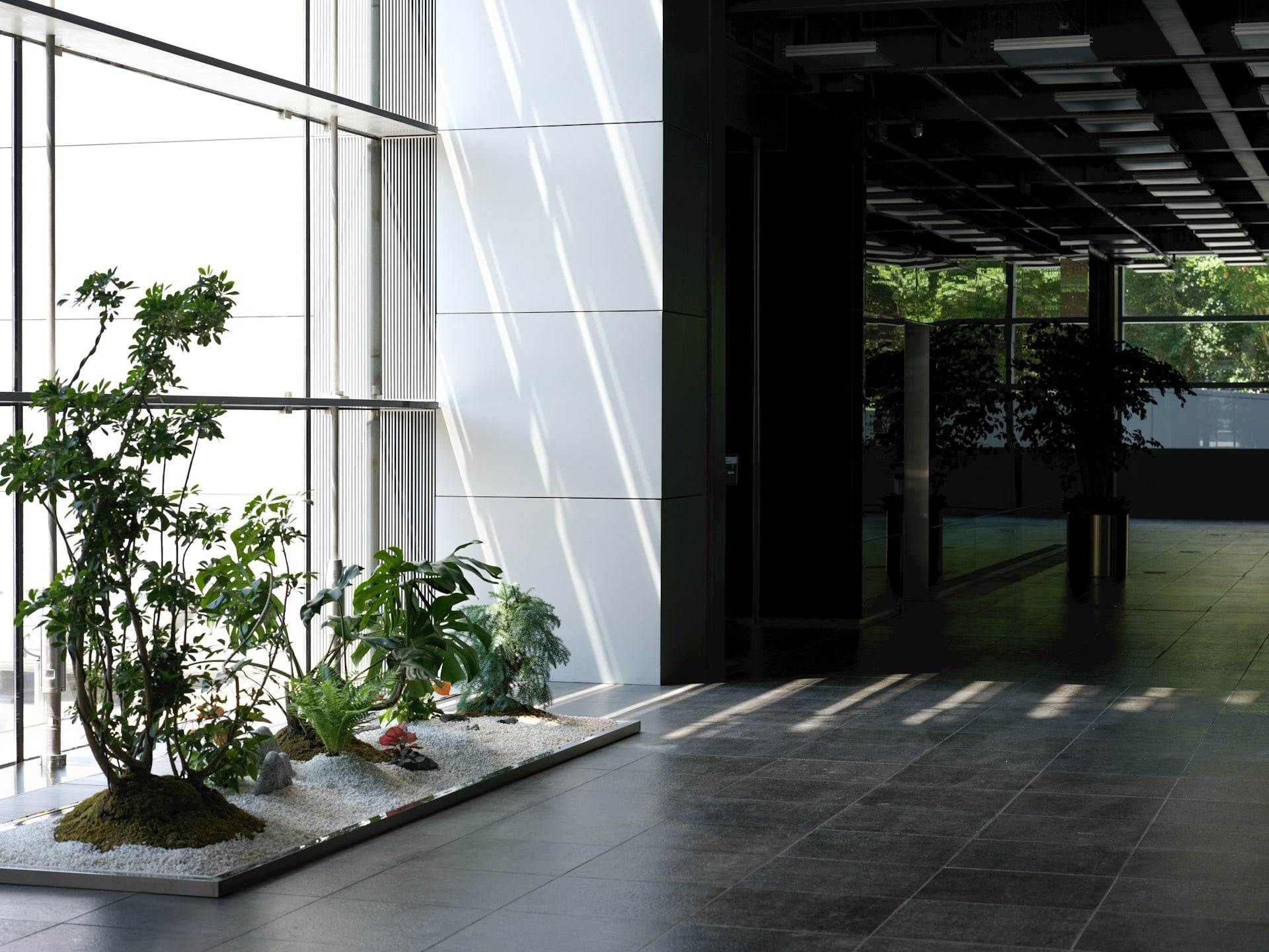 Office Eingang Web Agentur